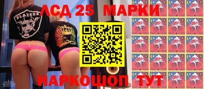 стафф Гусев