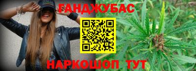 стафф Гусев