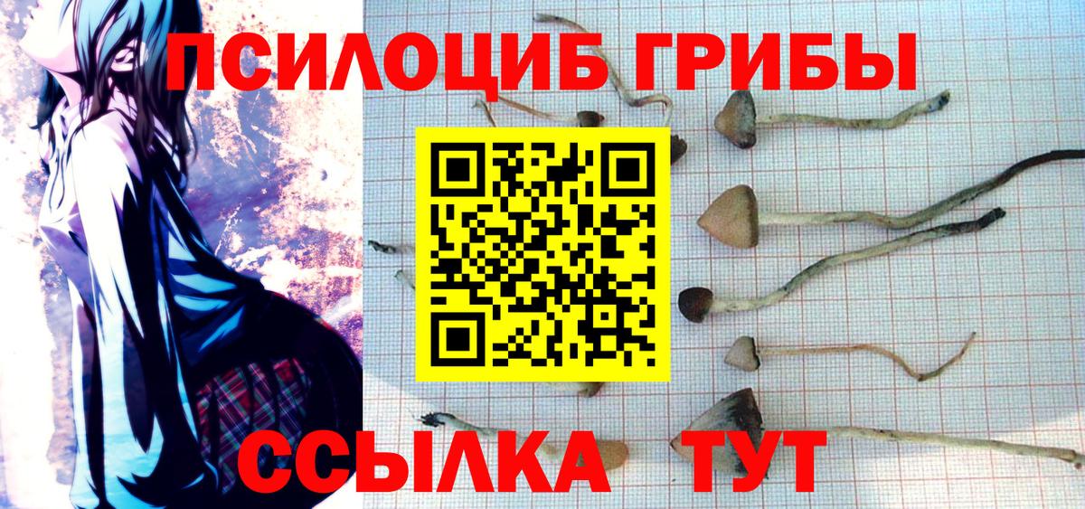 Псилоцибиновые грибы Magic Shrooms  Вход с VPN  Избербаш 